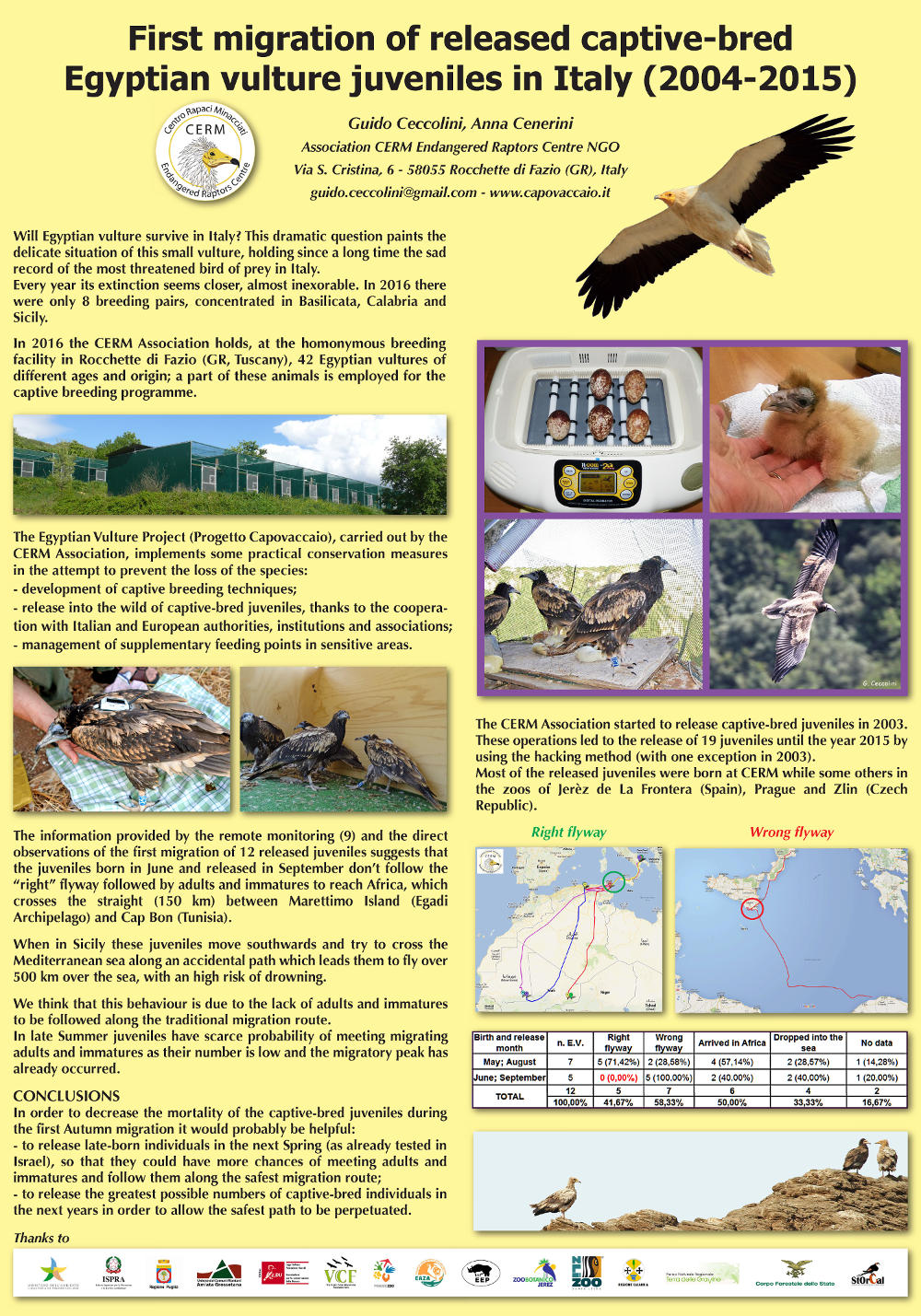 Poster “First migration of released captive-bred Egyptian vulture juveniles in Italy (2004-2015)”.
